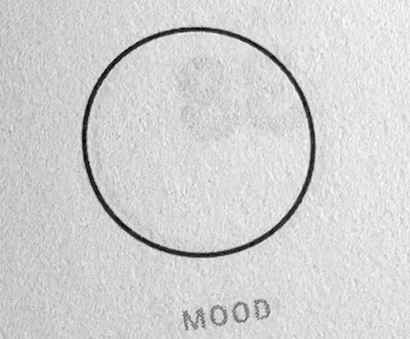A blank mood circle to draw inside the book